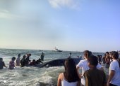 Comuneros lograron que el animal se retire de la playa de la isla.