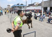 Los perros adiestrados de la Policía Nacional brindaron un espectáculo en el barrio Garay.