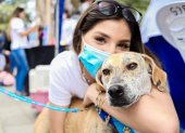 Este, fue uno de los perros que fue rescatado en la feria del pasado sábado.