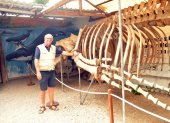 Ben Hasse junto al esqueleto de uno de los especímenes más grande que exhibe el Museo de las Ballenas, de Salinas, que creó en 2004 junto a Fernando Félix.