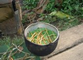 Imagen cedida por la Universidad Complutense de Madrid de la preparación de Ayahuasca en Ecuador.