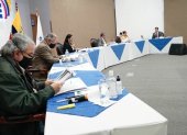 El pleno del Consejo Nacional Electoral conoce los informes de los binomios presidenciales, lista nacional a la Asamblea y parlamentarios andinos.