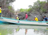 Escenario. Custodios observan una retroexcavadora en un sector del golfo de Guayaquil. La tala de manglar sigue, pese a que ya se denunció.