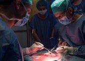 Una imagen de la intervención para el transplante de útero en Barcelona, España.
