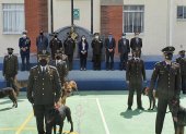 Donación. La Policía Antinarcóticos recibió de la Embajada de Estados Unidos 15 canes para la detección de sustancias ilícitas.