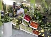 Desde noviembre, las rosas ingresaron al sistema del SGP. Antes debían pagar un 6,8% de arancel