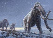 Ilustración. El ADN más antiguo del mundo revela cómo evolucionaron los mamuts.
