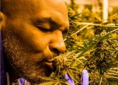 Sembrar y vender cannabis representó una tabla de salvación para Mike Tyson.