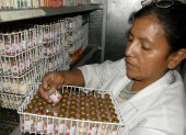 El Instituto Nacional de Higiene tenía a su cargo la producción de vacunas para distintas enfermedades.