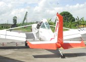 El costo del control fitosanitario es alto. La sigatoka exige fumigación aérea.