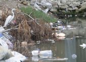 Especie. Una garza en medio de la basura en el estero Mogollón, parece que ve con tristeza lo contaminado que está su entorno.