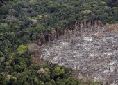 Solo en 2016 y 2017 hubo cifras superiores a la registrada el año pasado, donde a pesar de la pandemia de la covid-19 la deforestación de los bosques amazónicos se ha recrudecido.
