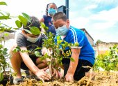 Personal de la Dirección de Áreas Verdes y moradores de la Coop. Luz del Guayas sembraron 450 plantas ornamentales y 2 guayacanes rosados.