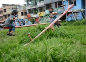 En parque del sur de Quito se encuentran descuidados los vecinos han optado por pagar a personas particulares para que corten la hierba y a mas de esto los juegos estan en mal estado.
