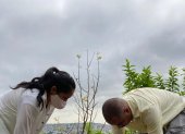 Hecho. Al menos 20 especies de árboles nativos fueron plantados hoy.