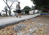Parque. El cemento de las camineras se perdió, está lleno de piedritas.