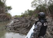 Referencial. Uno de los artículos demandados tiene relación a las actividades permitidas en el manglar.