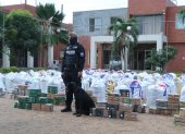 El pasado fin de semana, la Policía Antinarcóticos se incautó 7.3 toneladas de cocaína, en el puerto marítimo de Guayaquil, al sur de la ciudad.