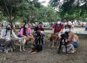 Un grupo de voluntarios se encarga de pasear los domingos a los perros rescatados.