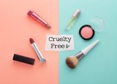 Existe una gran variedad de maquillaje y productos de belleza libre de crueldad animal.