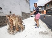 Tala. Muchos vecinos tenían mango y otros árboles, que fueron tristemente talados al llegar la obra. El Municipio no se refiere a ese tema, pero asegura que sembrará 400.