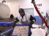Los camarones son uno de los productos que más crecieron en envíos en este año.