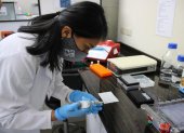 Una asistente de laboratorio fue registrada al procesar una muestra recolectada para el proyecto Barcode Galápagos, en los laboratorios de la USFQ, en isla de San Cristóbal.