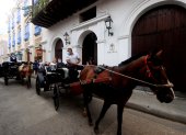 Los animales son un atractivo turístico en Cartagena. El oficio de cocheros es una tradición.