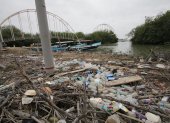 Arrastre. Los desperdicios se apilan a un costado del muelle de la comuna Bellavista; cuya playa, que está cruzando un puente corroído, está también llena de basura.  y donde las 2 y 3. Hecho. Las acémilas aprovechan la desolación para buscar comida en medio de los desperdicios que se recogen y que también son apilados en la playa, donde se evidencia el abandono y olvido al turismo de esa parte de la Isla.