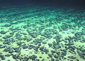 Una vista de los nódulos polimetálicos que se agrupan en el fondo del mar. Son apetecidos por su concentración de varios minerales.