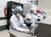 Los estudiantes realizan prácticas en los cuatro microscopios que tiene el laboratorio.