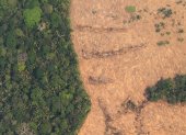 Vista aérea de áreas deforestadas de la selva amazónica de Porto Velho, Rondonia (Brasil), en una fotografía de archivo.