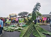 Con racimos y neumáticos agricultores bloquearon vías. Babahoyo y Puebloviejo, Los Ríos _Tatiana Ortiz
