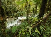 Naturaleza. Los Cedros, ubicado en Cotacachi, tiene 6.400 hectáreas.