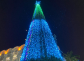 Árbol de navidad ubicado en la Plaza de la Administración