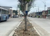Continúan los trabajos en parterres de la zona