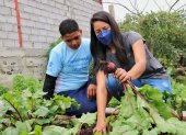 Iniciativa. En diferentes zonas de Guayaquil se han implementado los huertos.