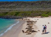 El archipiélago de Galápagos tiene buenas expectativas para el último feriado del año; sin embargo, aún recibe pocos turistas extranjeros.