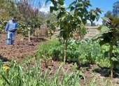 Campo.- El trabajo de los agricultores previo a la llegada de las lluvias.