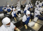 TRABAJADORES O EMPLEADOS EMPACANDO EL ATÚN |
Proceso de empaquetado de Atún Real EL 08 DE abril DEL 2016 Agencia (ag-expreso)