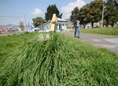 Descuido. En el barrio de Santa Ana, en el sur, un parque luce con la hierba crecida. Las bancas para tomar el sol casi no se distinguen entre la vegetación.