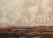 Fotografía cedida por el Parque Nacional Galápagos que muestra el fuego que avanza tras la erupción del volcán Wolf, en la isla Isablea de Galápagos (Ecuador). El volcán Wolf, situado en el archipiélago ecuatoriano de Galápagos, y donde habitan las iguanas rosadas, únicas en el mundo, inició un nuevo proceso de erupción, informó esta madrugada la Dirección del Parque Nacional Galápagos. EFE/ Parque Nacional Galápagos SÓLO USO EDITORIAL/SÓLO DISPONIBLE PARA ILUSTRAR LA NOTICIA QUE ACOMPAÑA (CRÉDITO OBLIGATORIO)