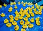 Unos 200 patos amarillos de goma en el Museo Marítimo de Stralsund, en el norte de Alemania, son parte de la carga rescatada del accidente de un barco portacontenedores naufragado en 1992, cuya localización permitió sacar nuevas conclusiones sobre las corrientes marinas. Foto: Stefan Sauer/dpa