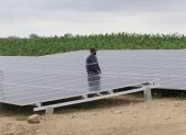 En la finca Don Polo, ubicada en Chanduy, Santa Elena, se instalaron 780 paneles solares. El ahorro de energía eléctrica en esta hacienda es de $ 5.000 al mes.