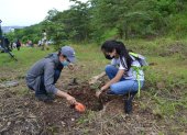 Estudiantes participaron en la siembra de árboles en el Cerro Protector El Pariso.