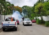 El MSP realiza fumigaciones en la vía a la costa para prevenir la proliferación de mosquitos