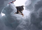 El entrenador de perros Dörg Stephan busca con la perra Amira, en un simulacro, personas enterradas en la nieve.