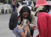 Una treintena de mascotas acompañaron a los ecuatorianos en el segundo vuelo humanitario.
