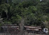 Vista de camión que transporta madera obtenida ilegalmente en la selva amazónica al sur del estado de Amazonas, en una fotografía de archivo