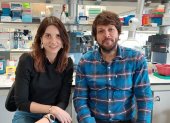 Los investigadores del Idibaps Roberta Haddad-Tóvolli y Marc Claret